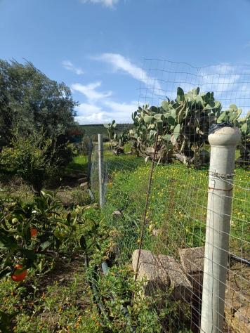 Terreno in vendita a Lentini - Foto 10