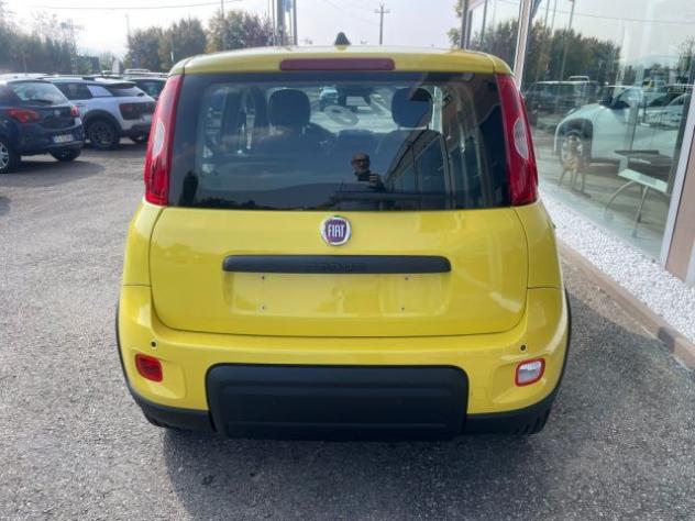 FIAT Panda 1.0 FireFly S&S Hybrid Pandina rif. 23992882 - Foto 7