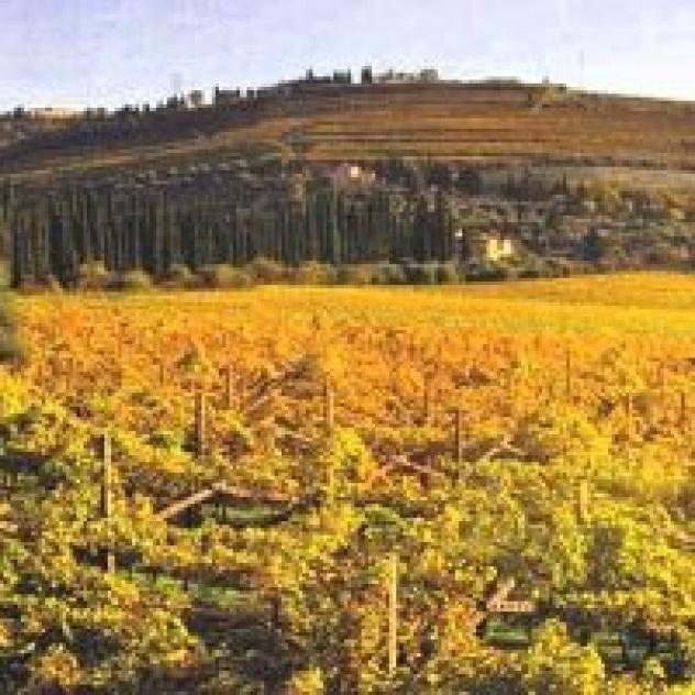 Azienda Agricola Grespin
