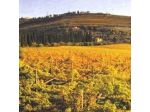 Azienda Agricola Grespin