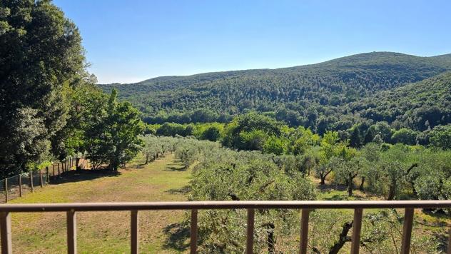 Rustico in vendita a Lugnano in Teverina - Foto 2