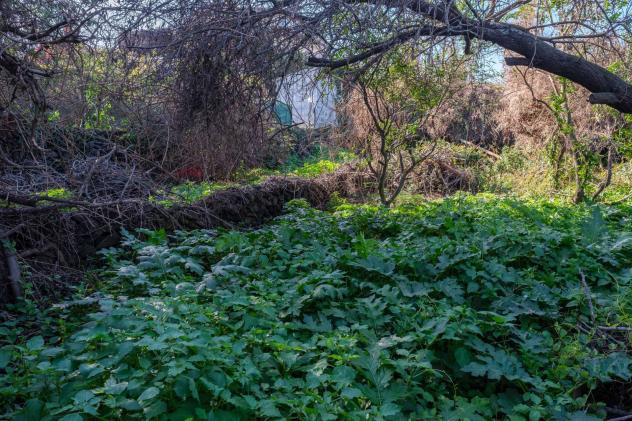 Terreno Edificabile in vendita a San Gregorio di Catania - Foto 7