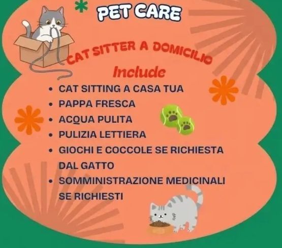 Cat Sitter