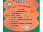 Cat Sitter