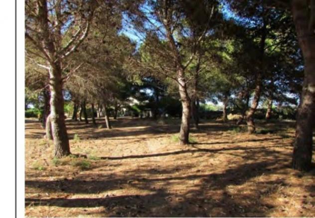 Immobile in asta di 210 m² con più di 5 locali in vendita a Marsala - Foto 5