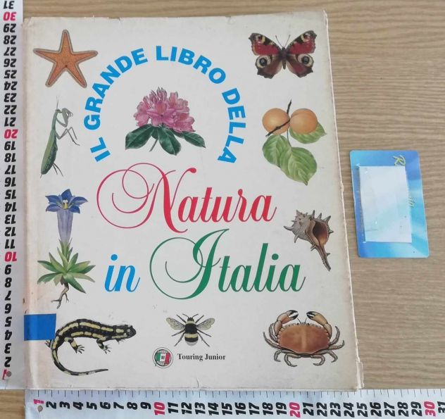 Libro "Tutto per le mie ricerche, gli animali".Ho + libri per bambini e ragazzi - Foto 8