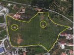 Lamezia Terme vendesi terreno agricolo 73500 Mq