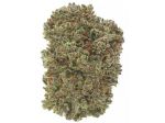 Critical+