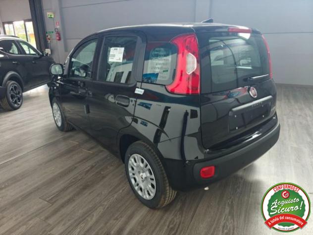 FIAT Pandina 1.0 FireFly 65 CV Hybrid Icon rif. 24112355 - Foto 6