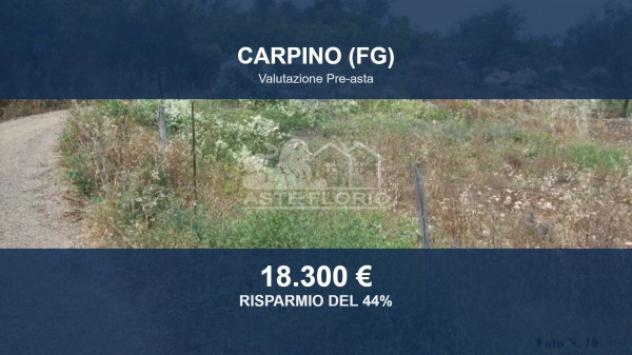 Immobile in asta di 10848 m² in vendita a Carpino