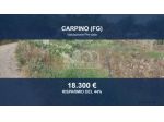 Immobile in asta di 10848 m² in vendita a Carpino