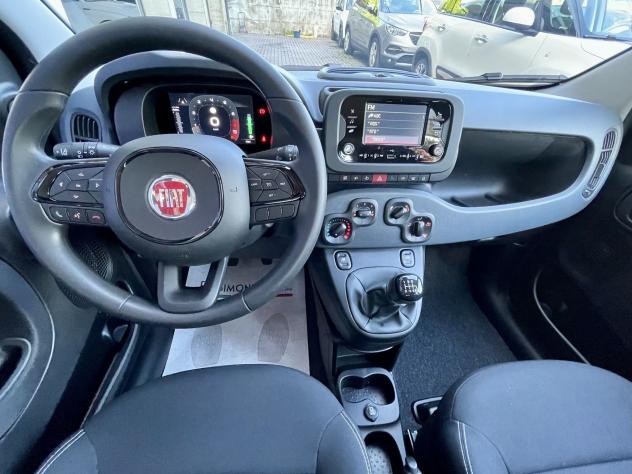 FIAT Pandina 1.0 firefly hybrid Icon s&s 65cv 5p.ti - KM0 - Foto 8