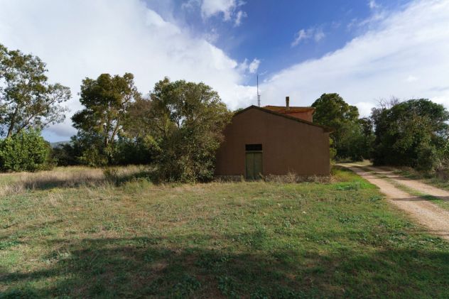 Magliano in Toscana, Podere Pantanella unione di passione e buon gusto - Foto 10