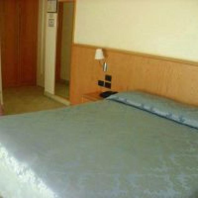Cardellino Enzo - Foto 2