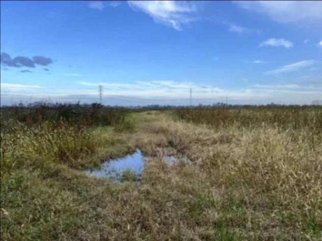 Immobile in asta di 110107 m² in vendita a Adria - Foto 10