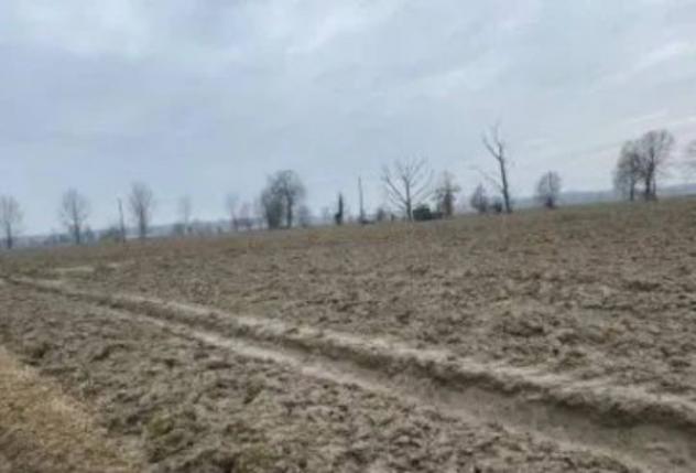 Immobile in asta di 55620 m² in vendita a Senna Lodigiana - Foto 3
