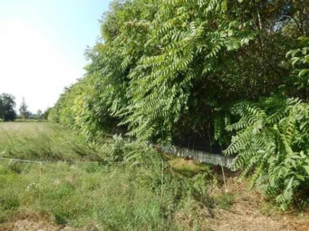 Immobile in asta di 281 m² con più di 5 locali in vendita a Campiglione-Fenile - Foto 13