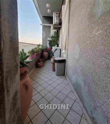 APPARTAMENTO di 2 vani e di 40 mq (GROSSETO - BARBANELLA) rif. 2482.393M - Foto 7