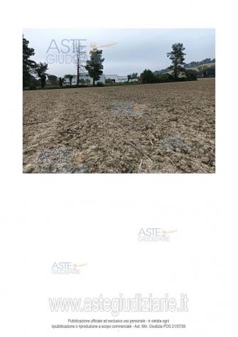 IMMOBILI-ALTRA CATEGORIA-Via Santa Maria Apparve, 60010 Ostra AN, Italia - Foto 7