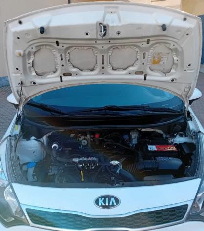KIA Rio APERTI AD AGOSTO rif. 24021655 - Foto 6