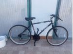 MTB uomo marca escalation