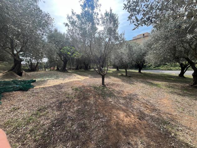 Appartamento in Via Pontina Vecchia - Foto 4
