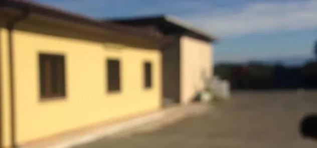 Immobile in asta di 300 m², box auto in vendita a Artena - Foto 2