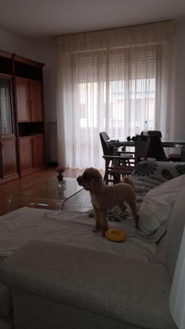 Appartamento in vendita a Cascina 125 mq Rif: 1432894 - Foto 2