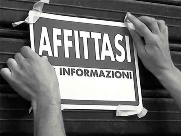 Attività commerciale a Grantorto - Rif. C110 - Foto 2