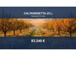 Immobile in asta di 39894 m² in vendita a Caltanissetta