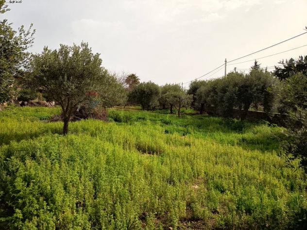 Terreno Edificabile in vendita a Siracusa, Plemmirio - Foto 9