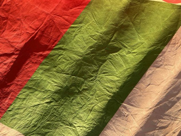 Pelle stampata bandiera Inglese e Bolivia - Foto 6