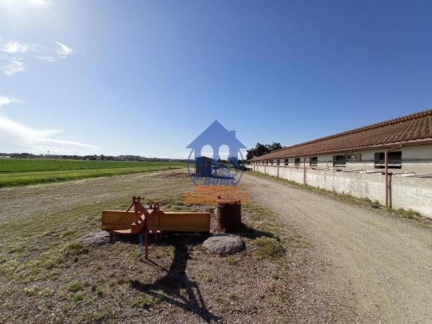 Cervia capannone con 2 ettari di terreno - Foto 2