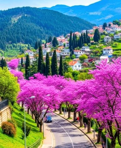 collina EST con garage