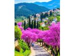 collina EST con garage