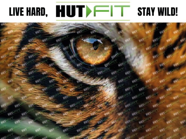 PERSONAL TRAINER / ISTRUTTORI CORSI