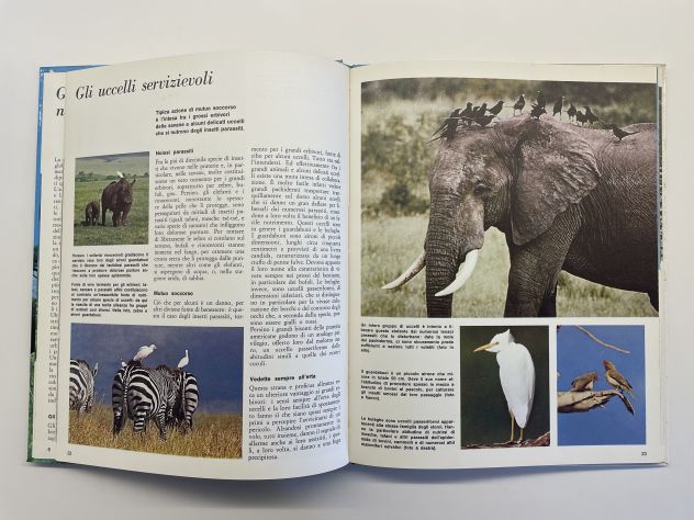 Gli animali e l'ambiente, La prateria e la savana, F. Colombo, 1974 - Foto 4