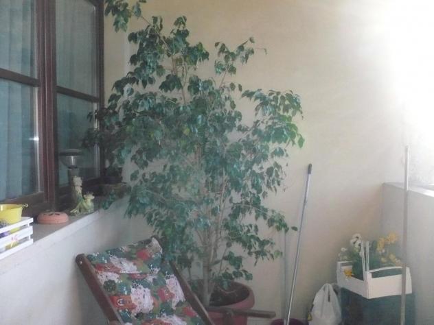 Appartamento in affitto a Borgatello - Colle di Val d'Elsa 75 mq Rif: 823850 - Foto 4