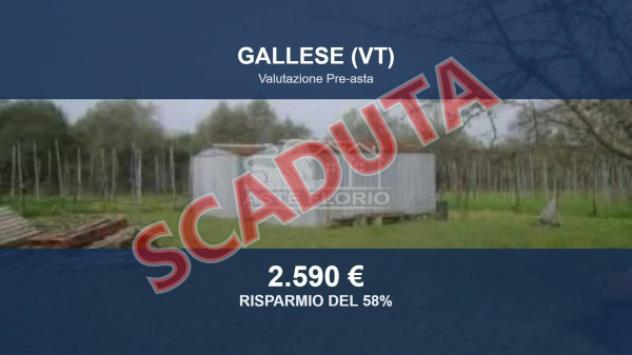 Immobile in asta di 3200 m² in vendita a Vignanello