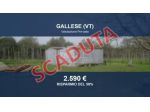 Immobile in asta di 3200 m² in vendita a Vignanello
