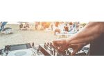 DJ -SERATE SILENT DISCO FESTE IN SPIAGGIA E GESTIONE SHOW SERALI