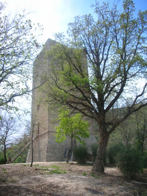 TORRE MEDIEVALE IN TENUTA DA 16 ETTARI SULLE COLLINE UMBRE - Foto 2