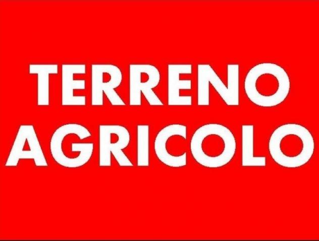 Terreno agricolo in vendita a San Cristoforo - Massa 1027 mq Rif: 1178987 - Foto 2