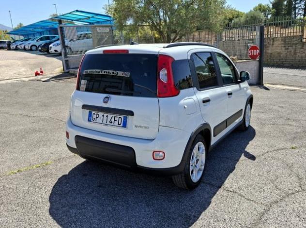 FIAT Panda 1.0 FireFly Hybrid CITY LIFE 5POSTI PREZZO REALE! rif. 24055840 - Foto 5