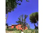 Vigna dell'Agrifoglio - Bed & Breakfast