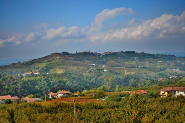 Le Langhe - I Vigneti - Il Vino ...