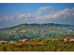 Le Langhe - I Vigneti - Il Vino ...