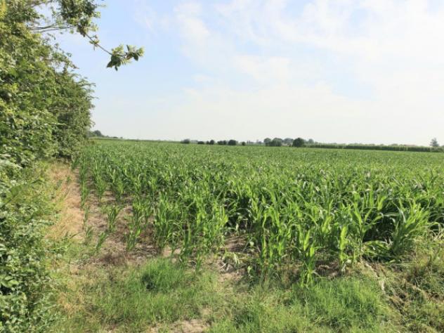 Rustico / Casale di 400 m² in vendita a Bomporto - Foto 10