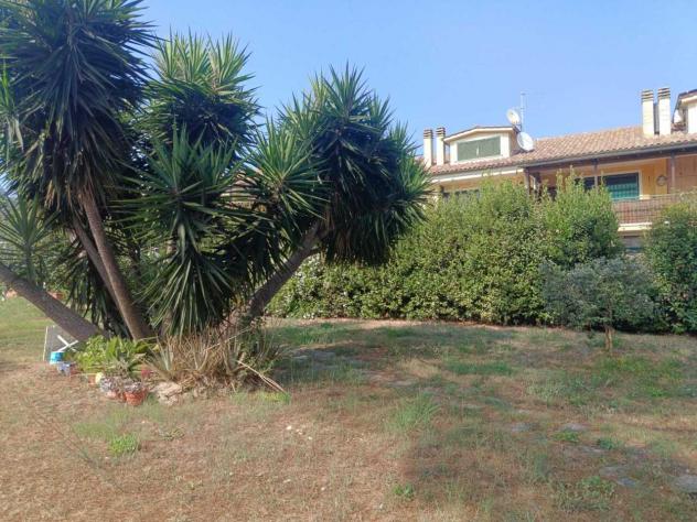 Seminativo in vendita a Cerveteri - Foto 9