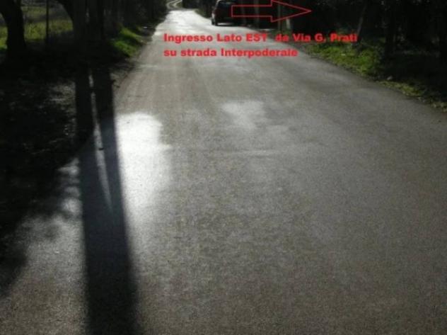 Immobile in asta di 6756 m² in vendita a Marino - Foto 9